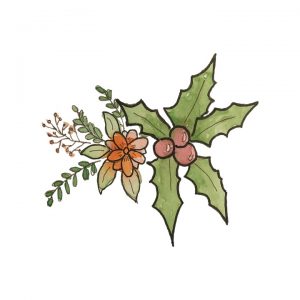 mistletoe-5695085_960_720